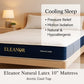 Eleanor 10" Natural Latex Mattress with Arctic Cool Ice Silk Top | Medium Firm Orthopedic Support Foam | Hypoallergenic & Anti-Dust Mite Grandeur Furnishings