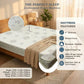 Sorella Luxury Upholstered Divan Bed | Scandinavian Modern Design Grandeur Furnishings